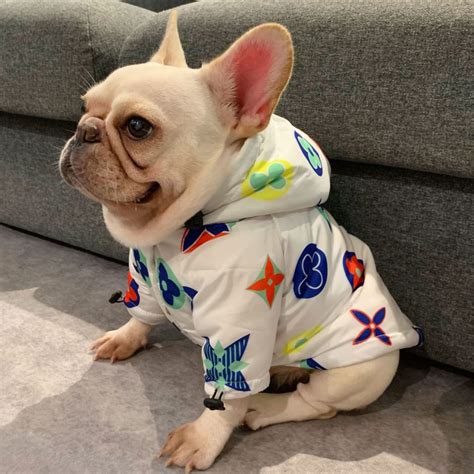 replica designer pet clothes|designer dog clothes for sale.